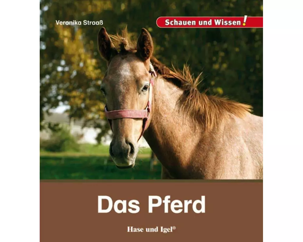 Das Pferd