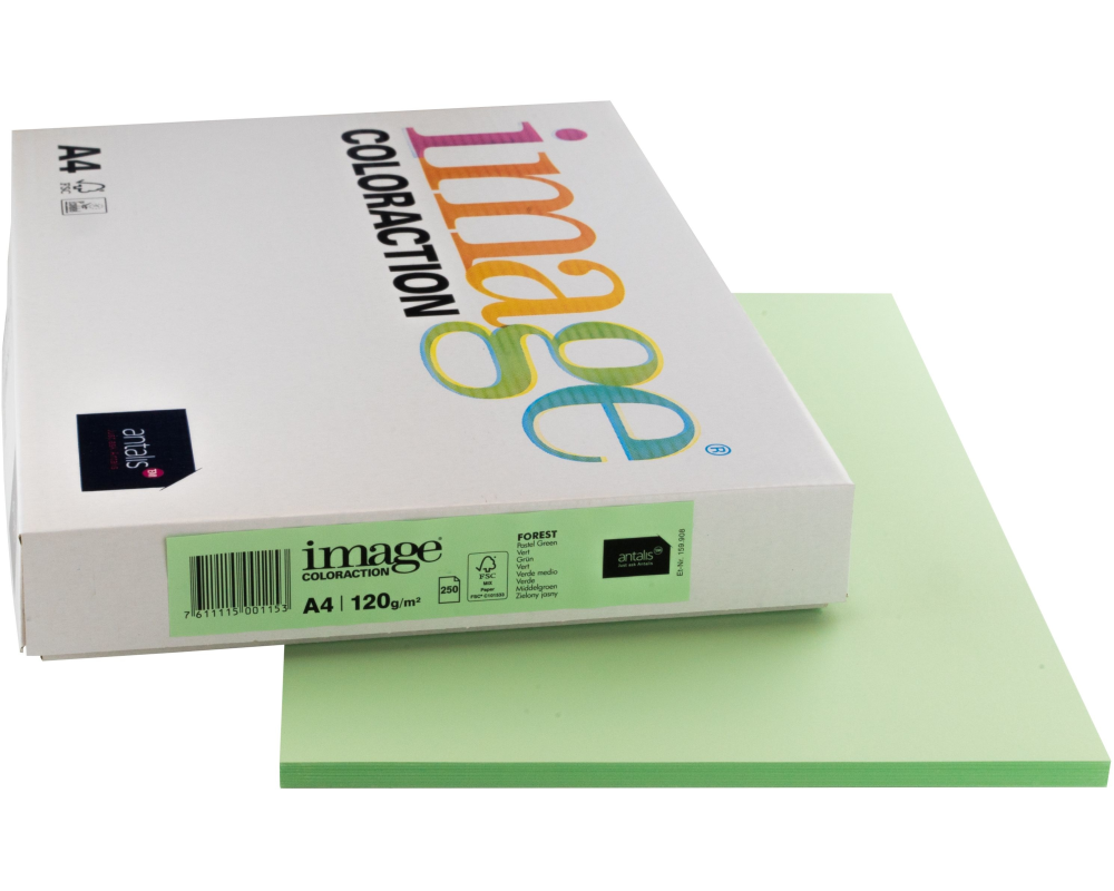 IMAGE COLORACTION Kopierpapier Forest A4 266689 120g, grün 250 Blatt