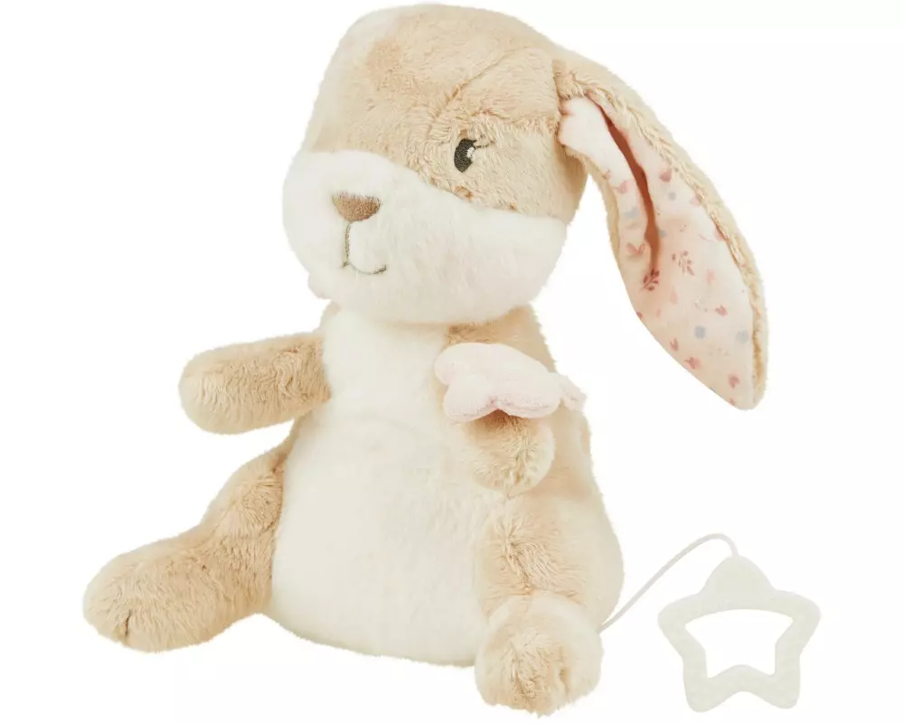 Sterntaler Spieluhr L Hanni