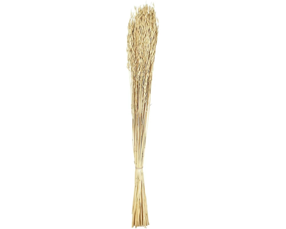 EGLO Trockenblumen Natur, 15 x 3 x 90 cm