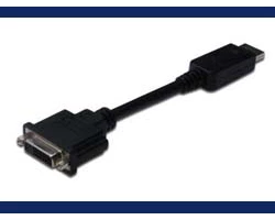 Assmann AK-340401-001-S 15 cm DisplayPort/DVI Video Cable for Video Device, Monitor, Projector