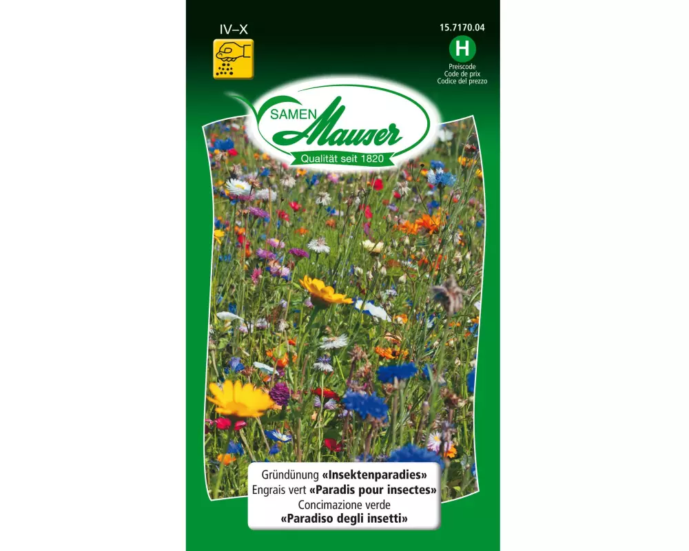 Samen Mauser Saatgut Gründüngung Insektenparadies