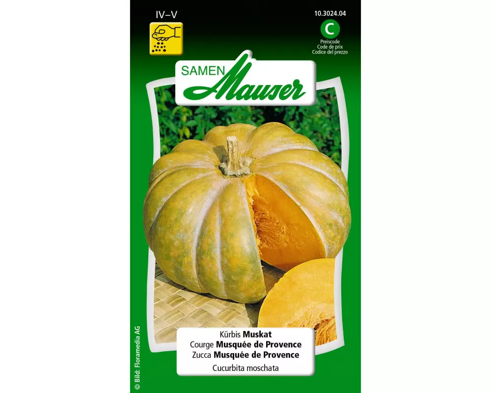 Samen Mauser Samen Kürbis Muskat