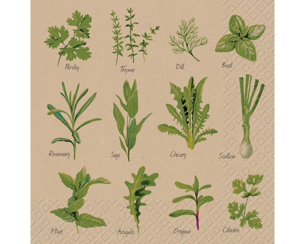 STEWO Serviette Herb 2572598765 grau 33x33cm