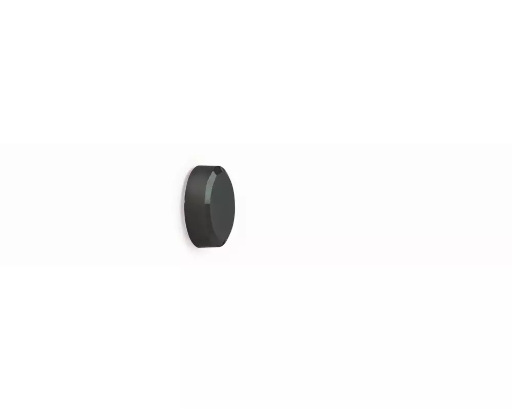 Maul Haftmagnet MAULpro 20 x Ø 20 mm Schwarz, 20 Stück
