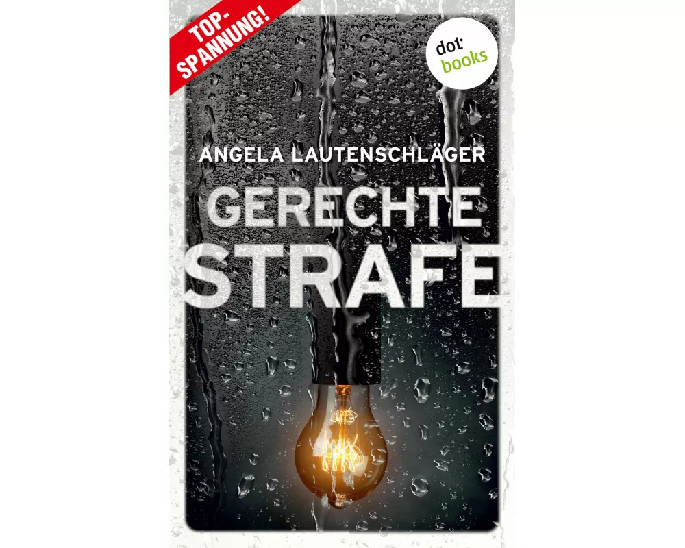 Gerechte Strafe - Ein Fall für Engel und Sander 5