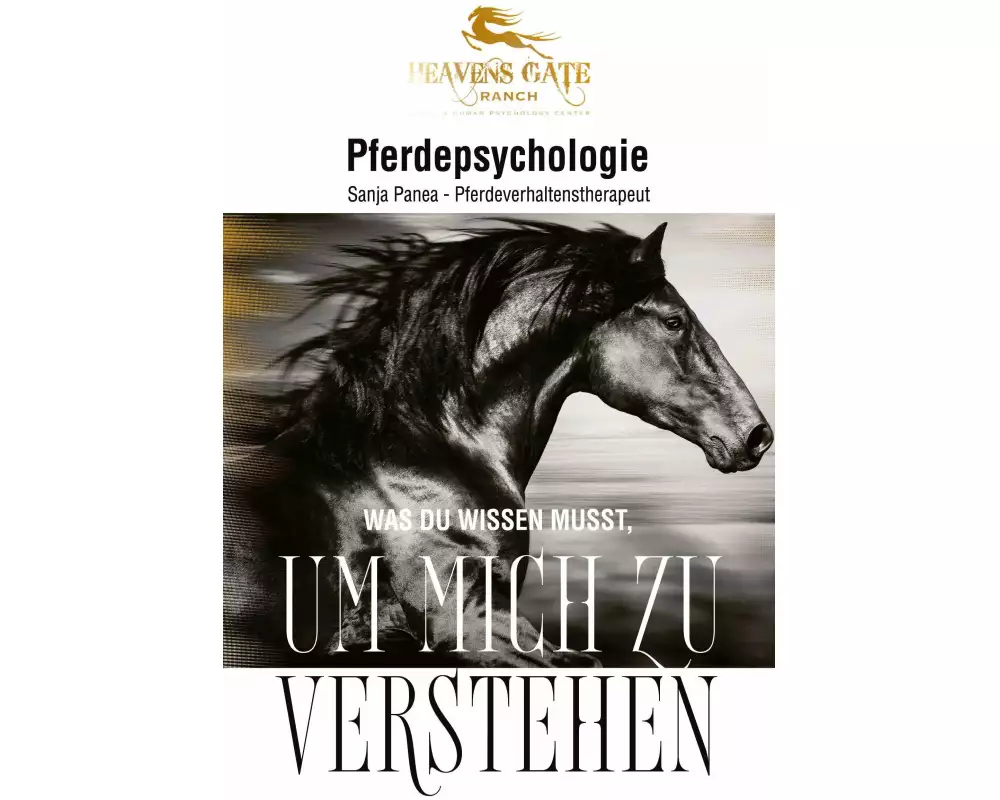 Pferdepsychologie
