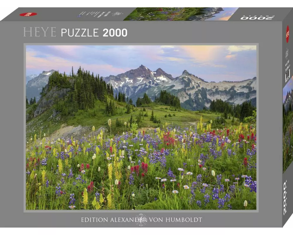Tatoosh Mountains Puzzle