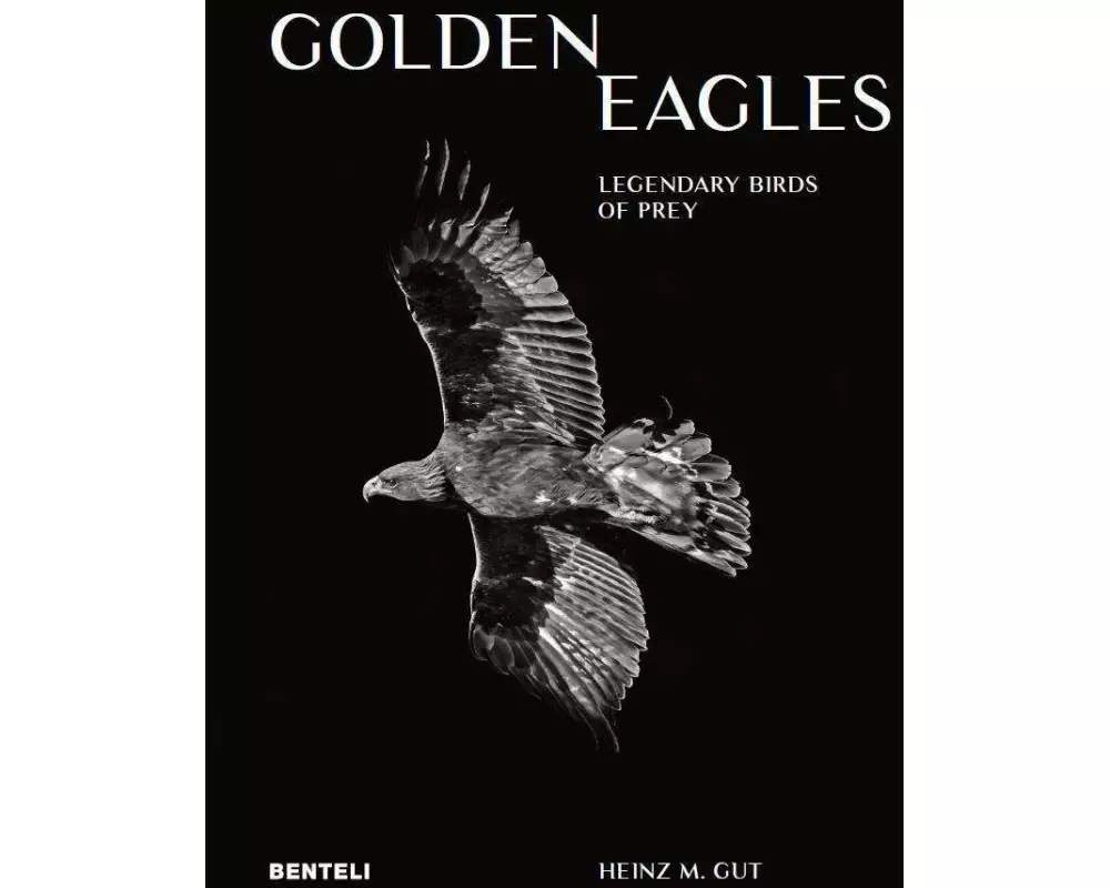 Golden Eagles: Legendary Birds of Prey