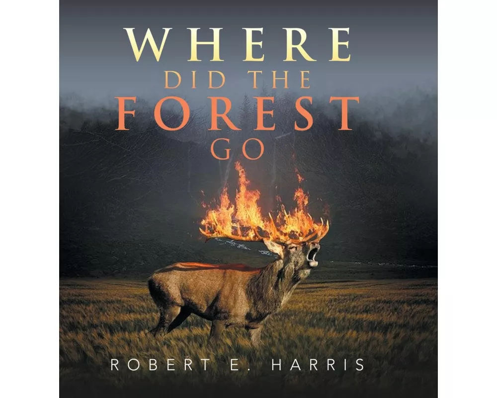 Where Did the Forest Go