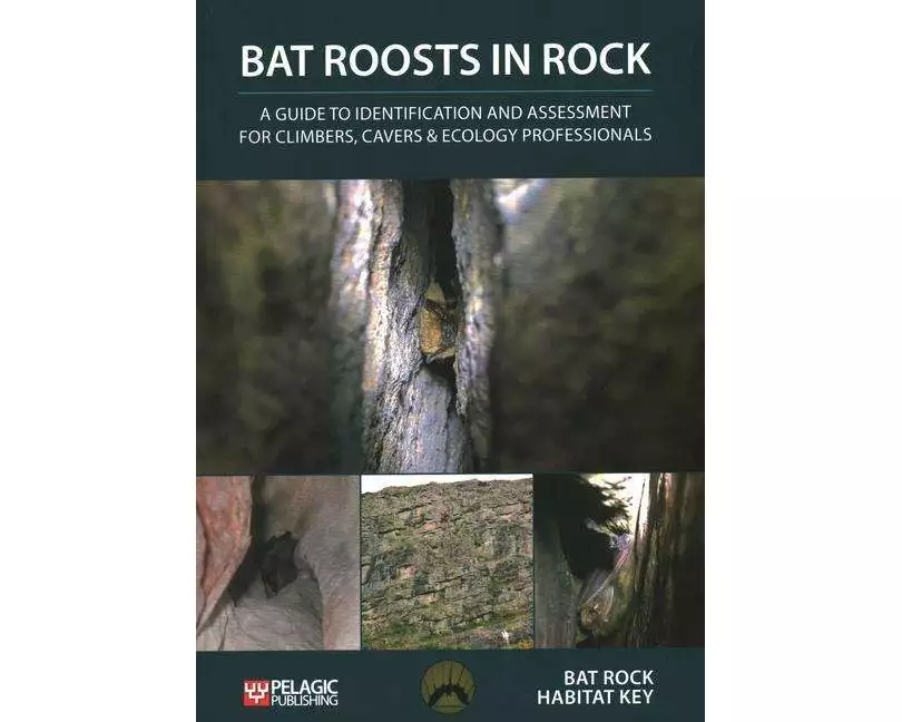 Bat Roosts in Rock