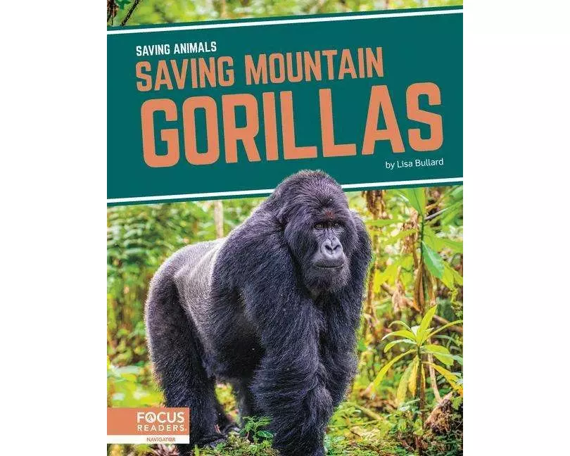 Saving Mountain Gorillas