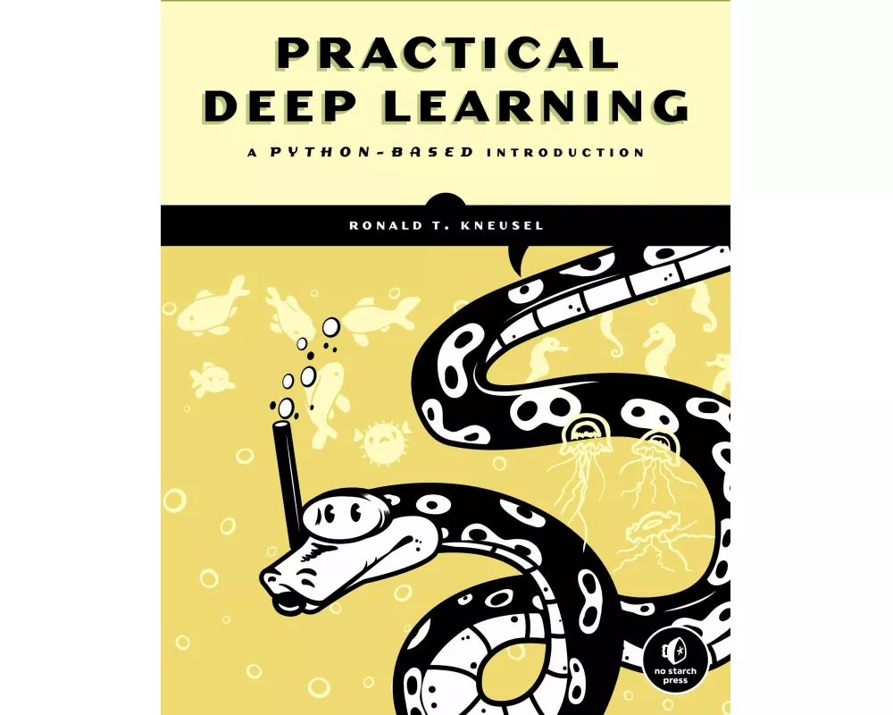 Practical Deep Learning