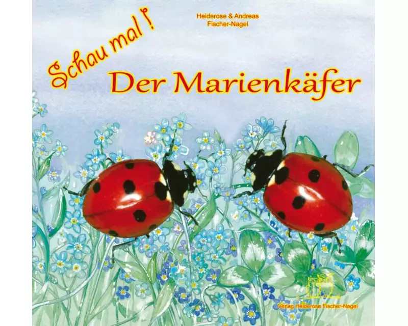 Schau mal! Der Marienkäfer