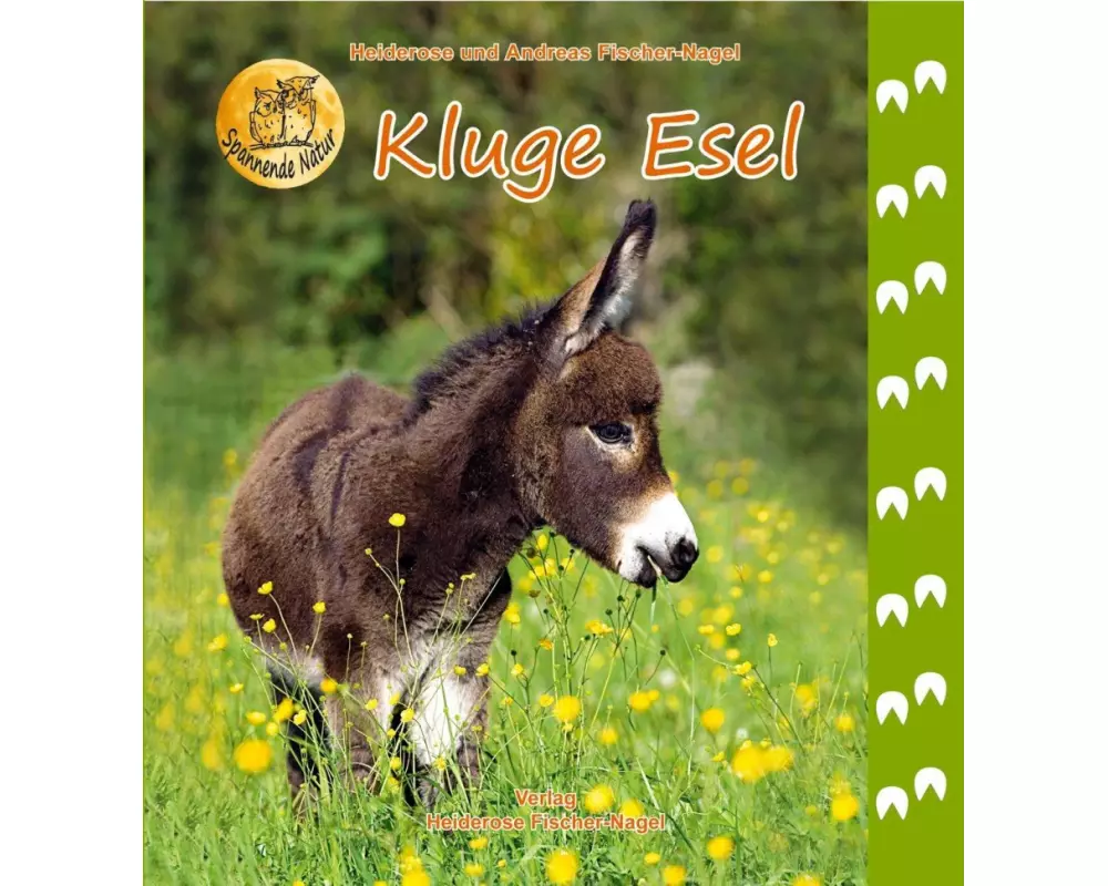 Kluge Esel