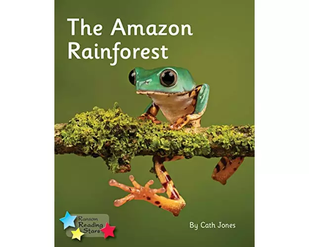 The Amazon Rainforest