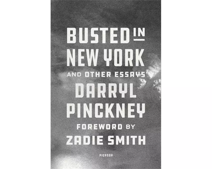 Busted in New York & Other Essays