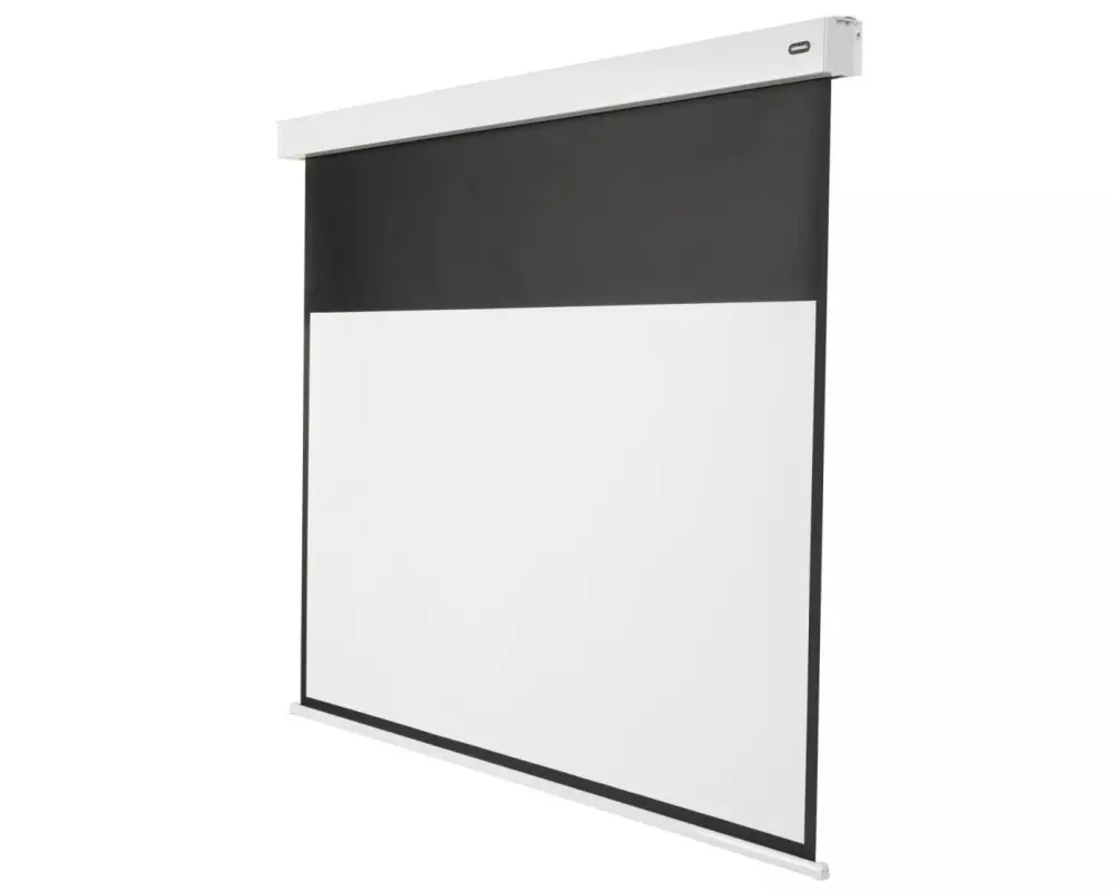 Celexon Motorleinwand Batterie V2.0 Motor Pro Plus 300x169 cm 16:9