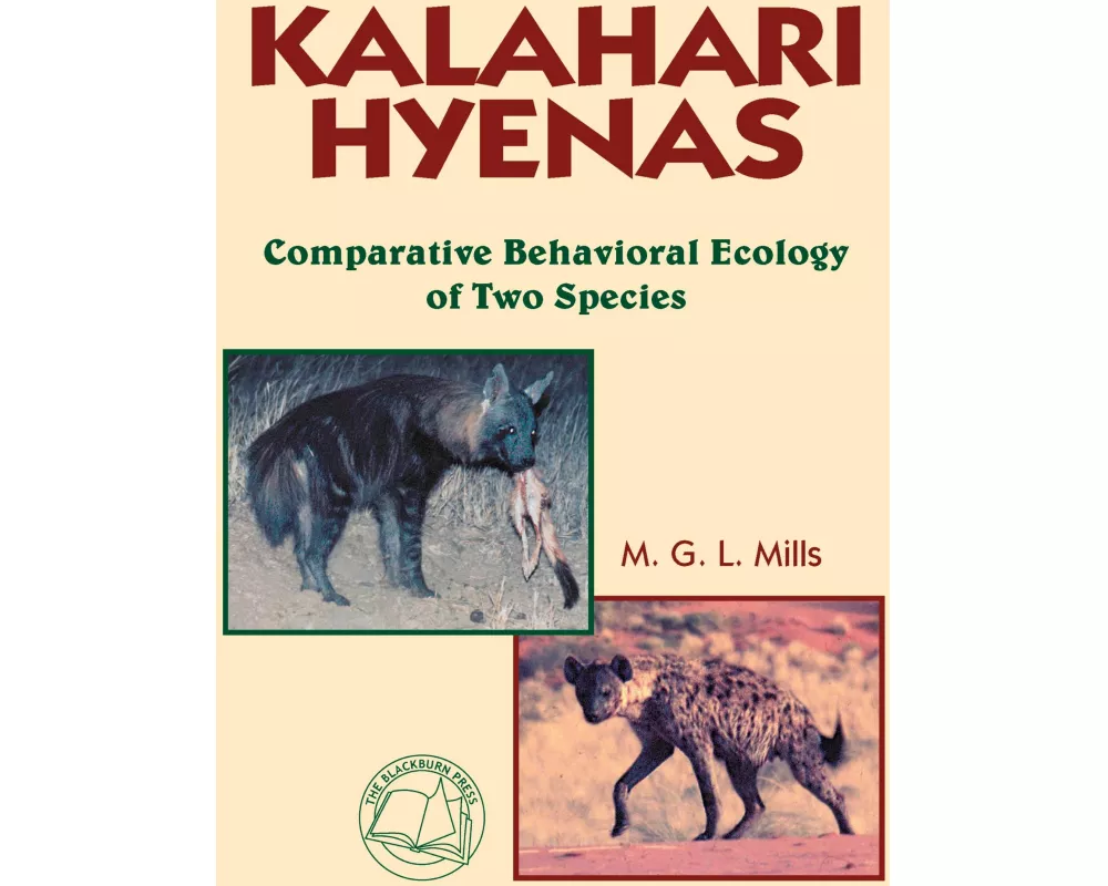 Kalahari Hyenas