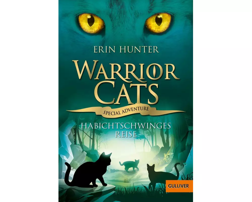 Warrior Cats - Special Adventure. Habichtschwinges Reise
