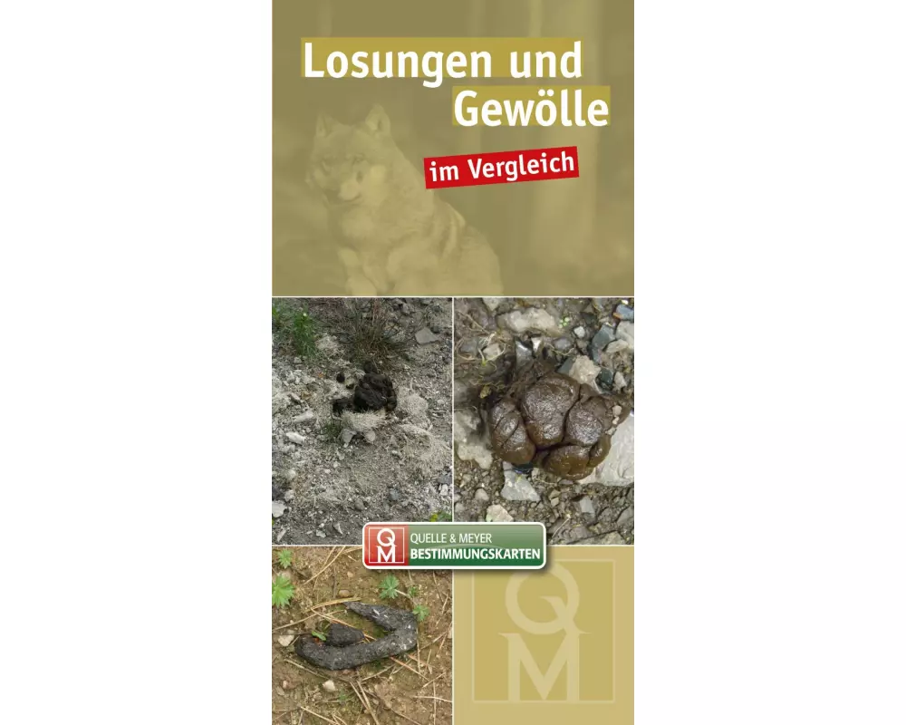 Losungen und Gewölle