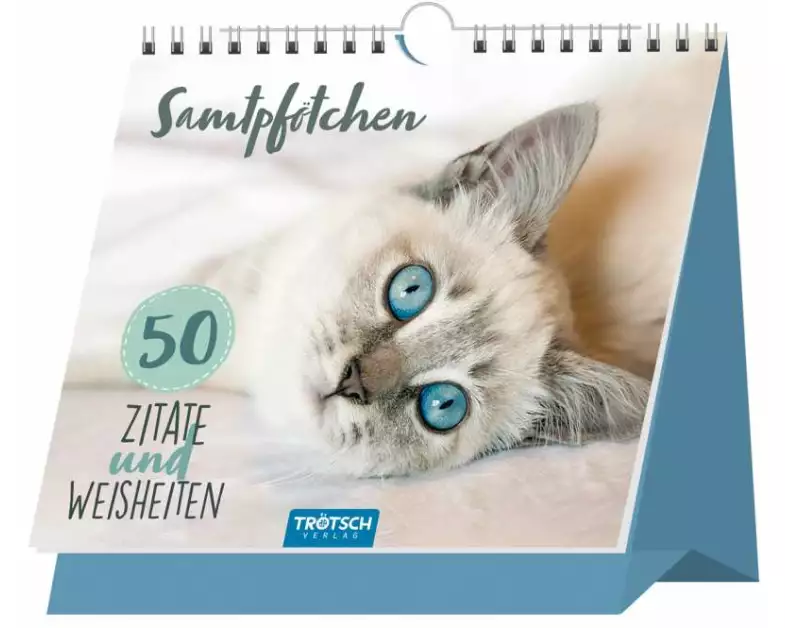 Trötsch Tischaufsteller Sprüche und Zitate zum Aufstellen Katzen