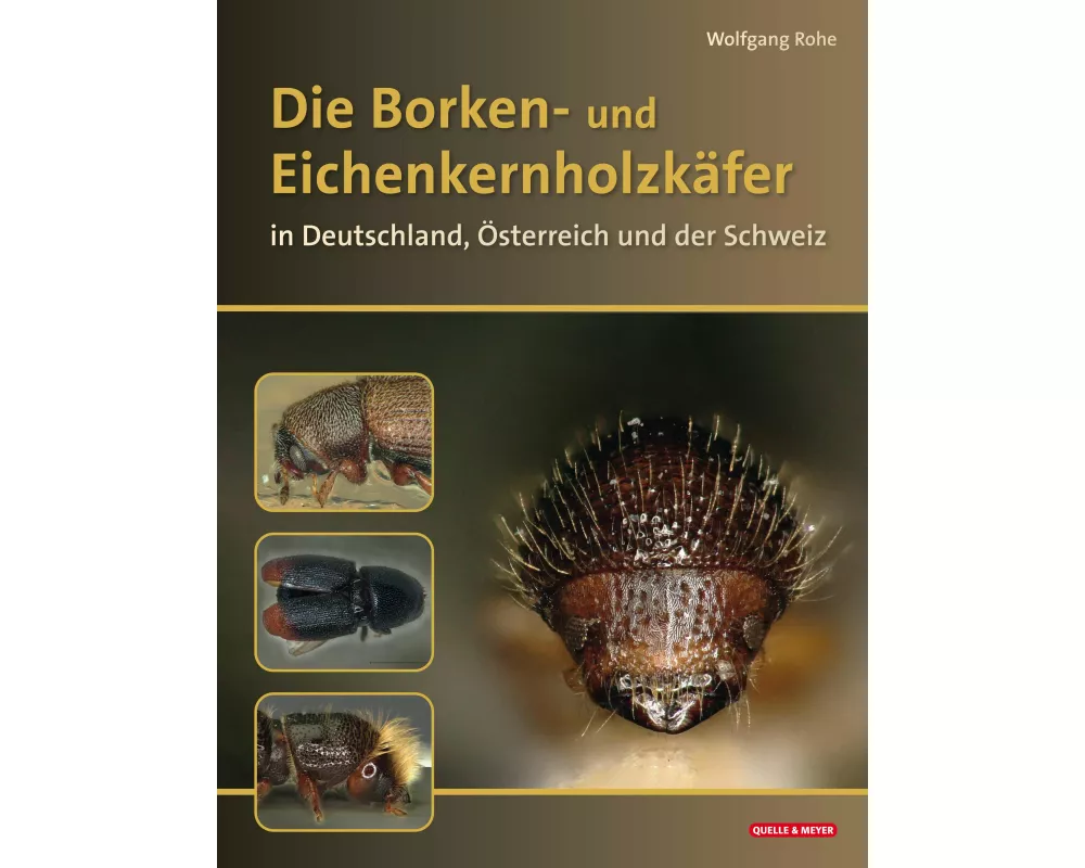 Die Borkenkäfer Deutschlands, Österreichs und der Schweiz