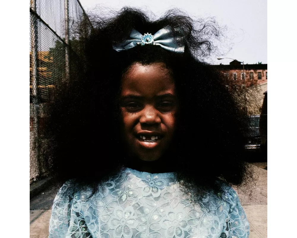 Black Terry Cat