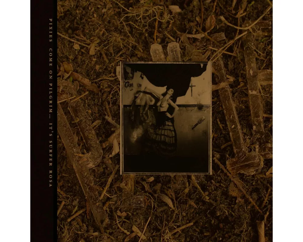 Come On Pilgrim-It's Surfer Rosa