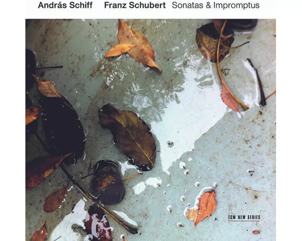 Franz Schubert: Sonatas & Impromptus