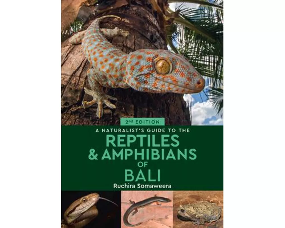 A Naturalist's Guide to the Reptiles & Amphibians of Bali (2nd edition)