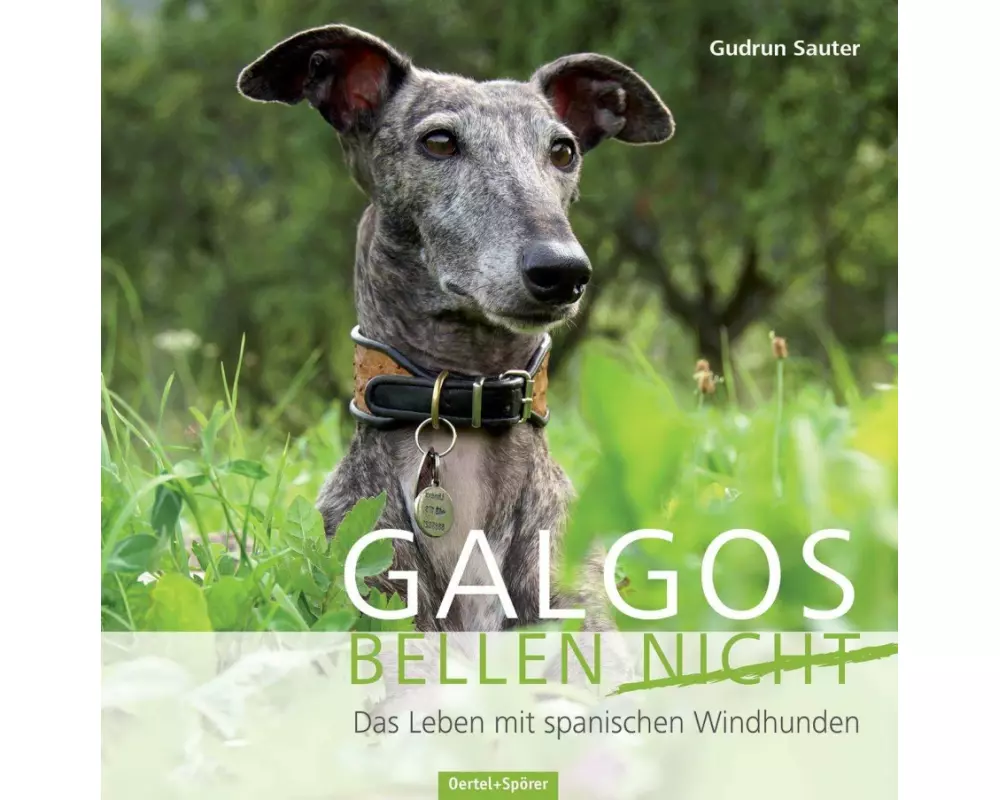 Galgos bellen nicht
