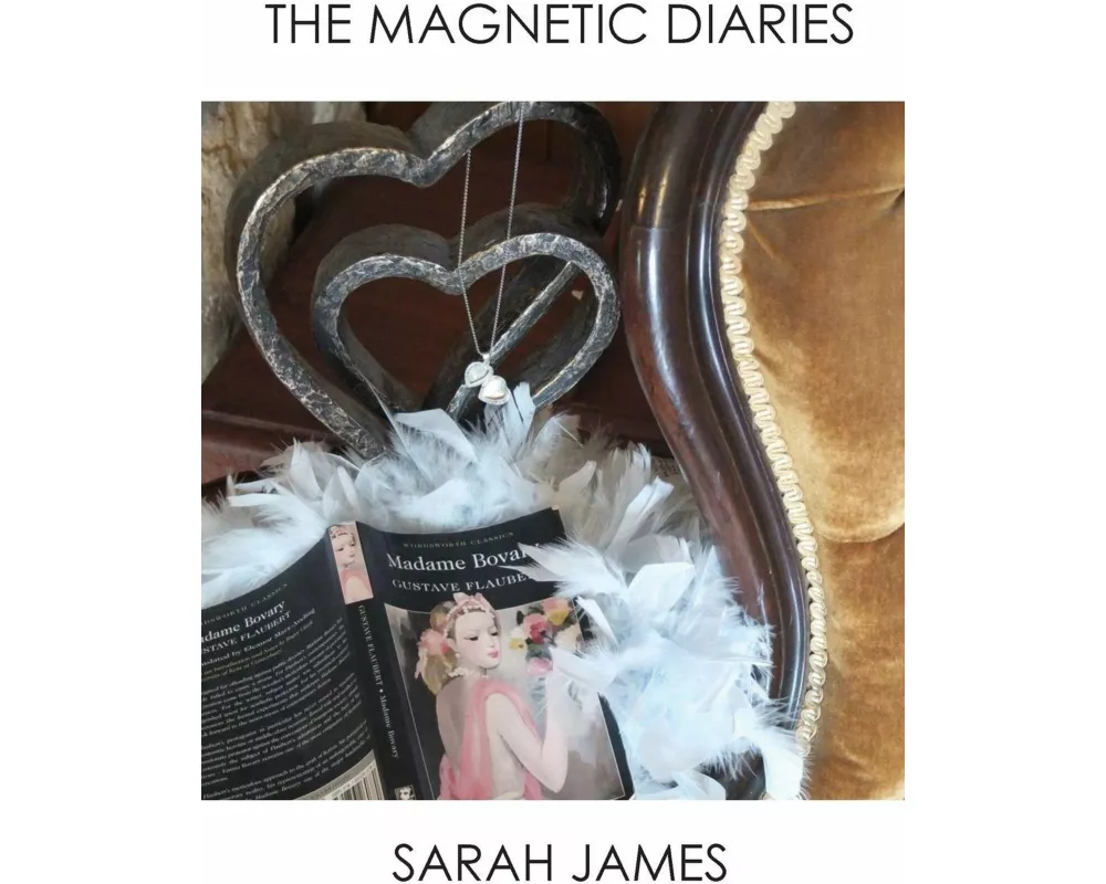 The Magnetic Diaries