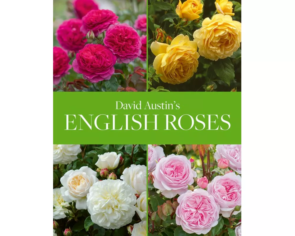David Austin's English Roses