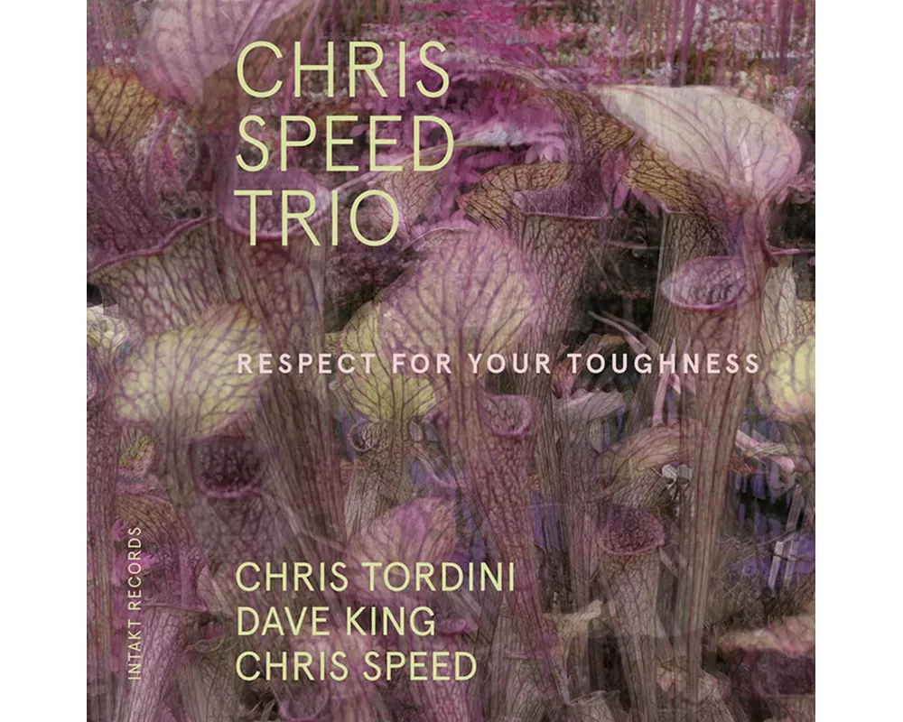 Respect For Your Toughness