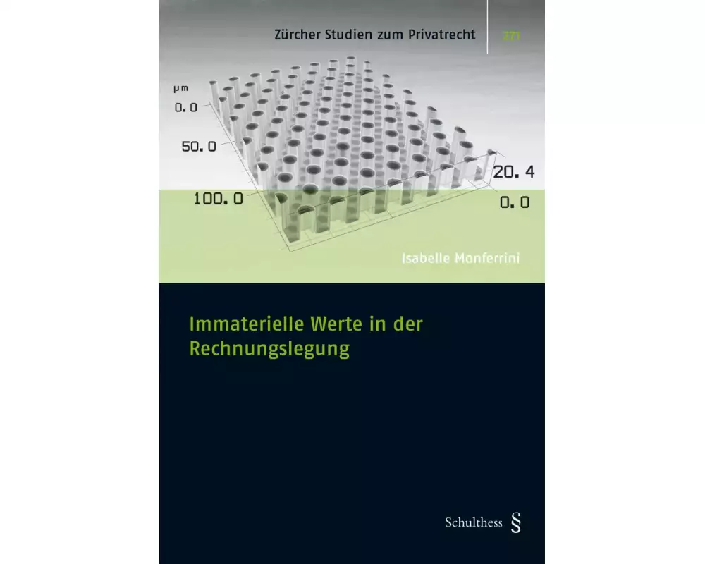 Immaterielle Werte in der Rechnungslegung