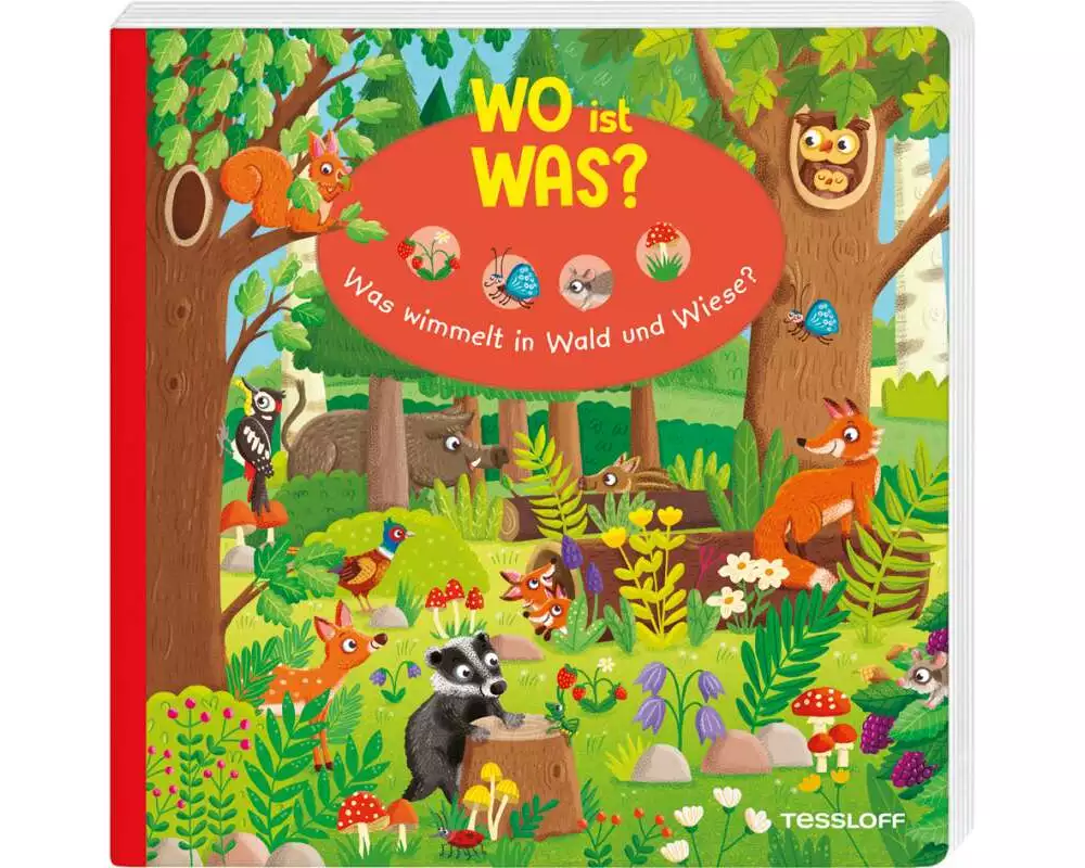 WO ist WAS? Was wimmelt in Wald und Wiese?