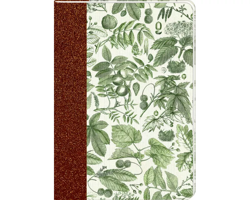 Notizhefte - Sammlung Augustina - DIN A5