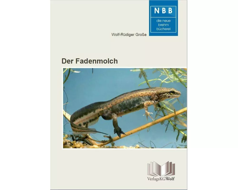 Der Fadenmolch