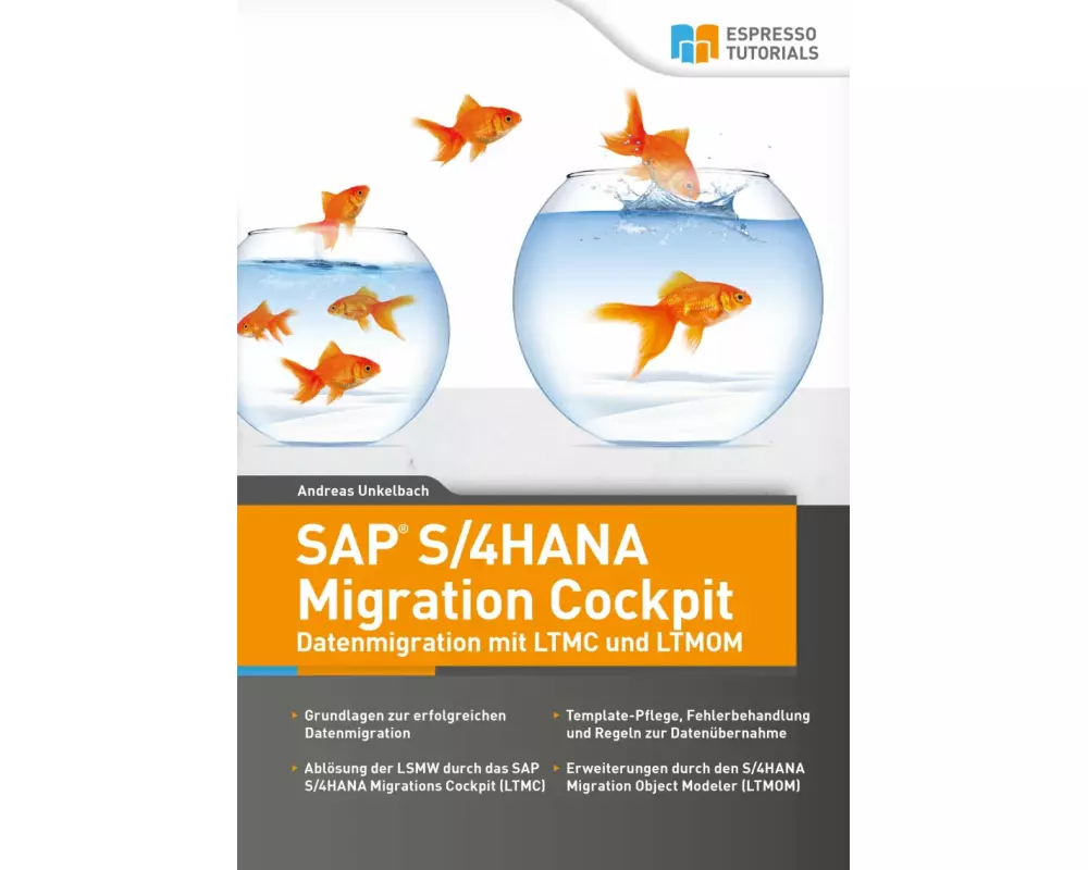 SAP S/4HANA Migration Cockpit - Datenmigration mit LTMC und LTMOM
