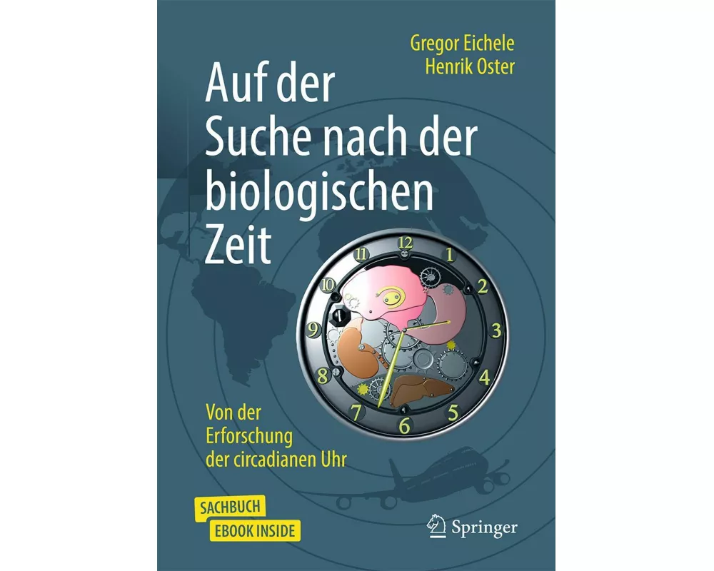 Auf der Suche nach der biologischen Zeit