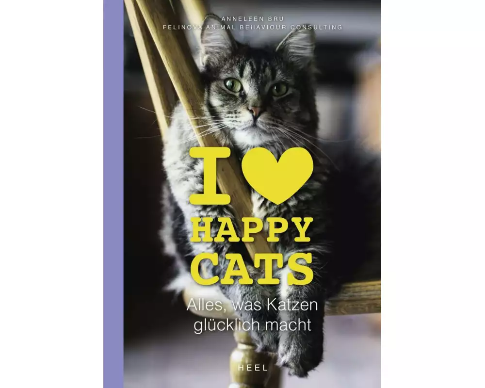 I love Happy Cats