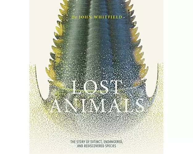 Lost Animals