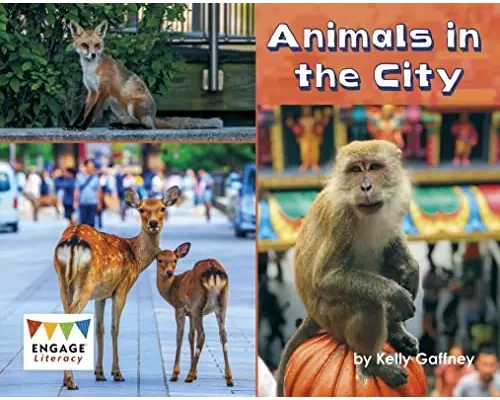 Animals In The City