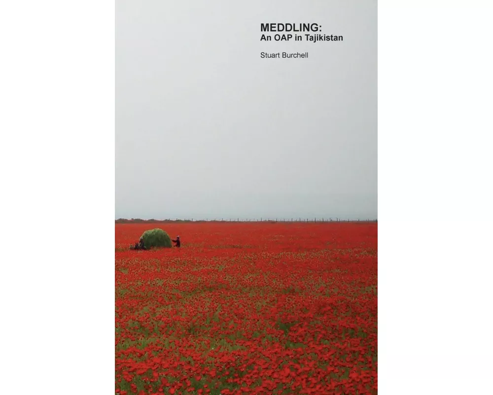 MEDDLING: An OAP in Tajikistan