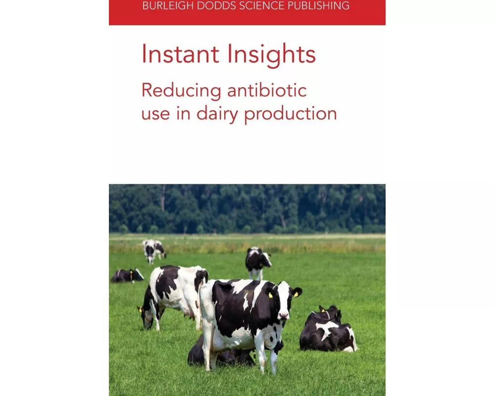 Instant Insights