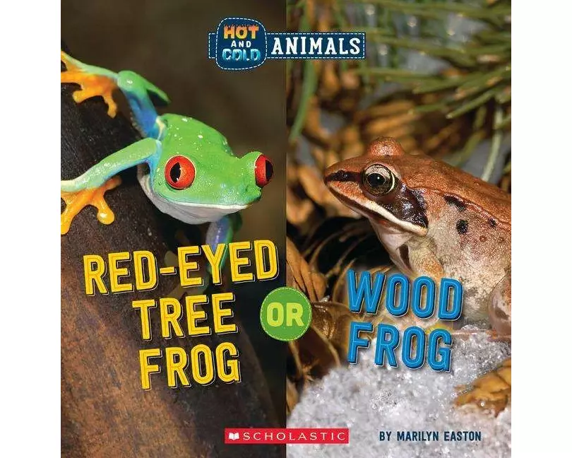 Red-Eyed Tree Frog or Wood Frog (Wild World: Hot and Cold Animals)