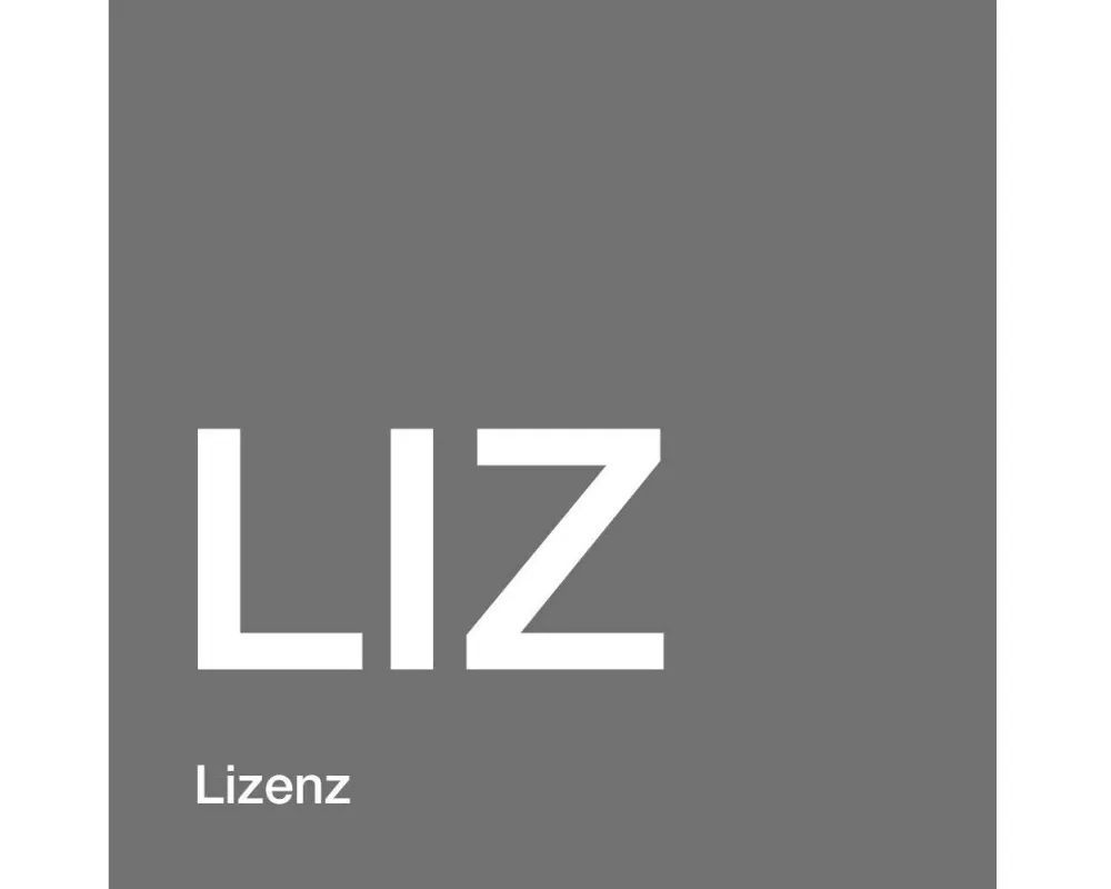 Broadcom Cache Modul CacheCade Pro2.0 HW-Key LSI00290