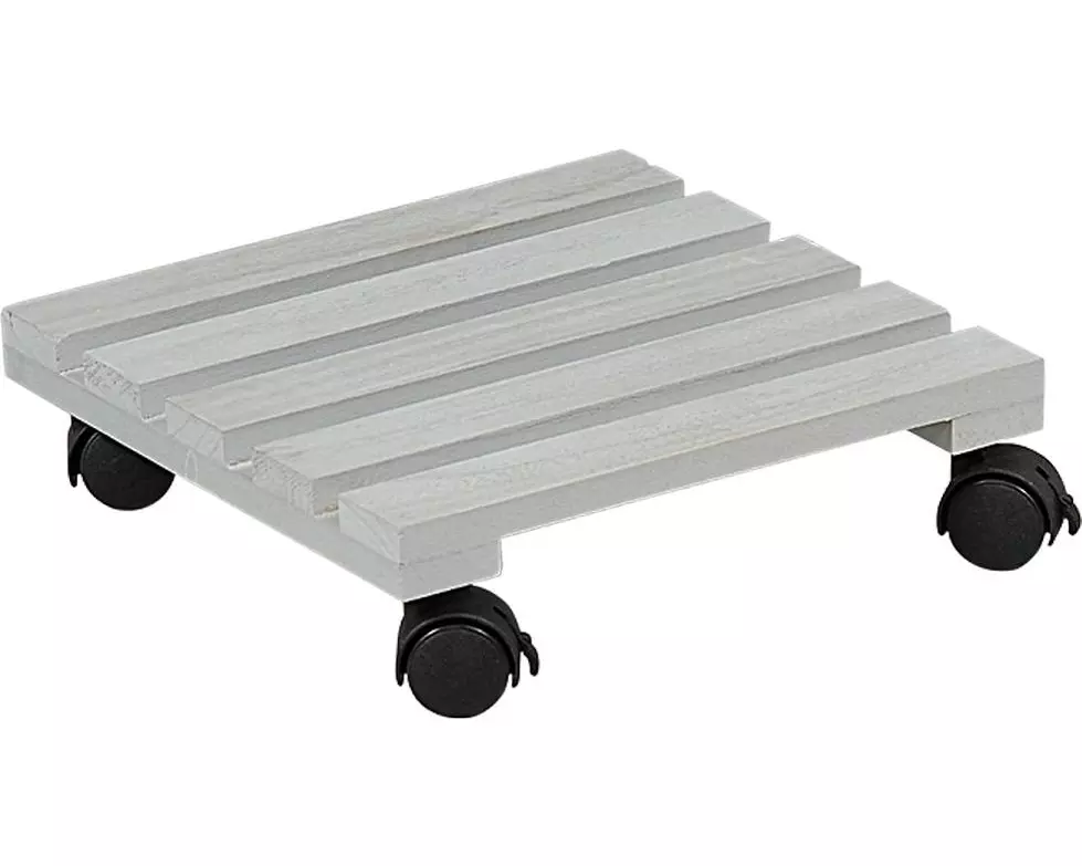 Kesper Pflanzenroller Grau
