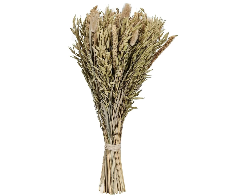 EGLO Trockenblumenstrauss Braun, Beige, Gelb, 42 cm